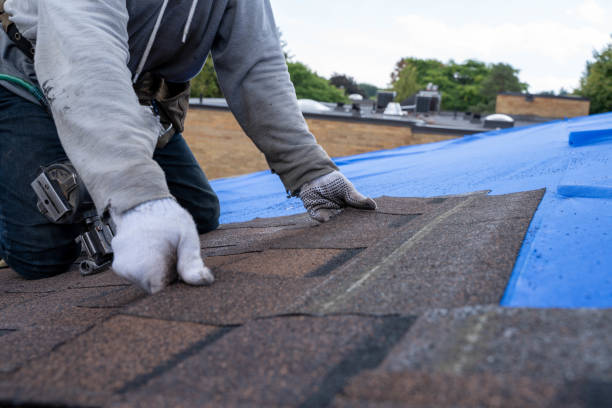 Best Roof Leak Repair  in West Peoria, IL