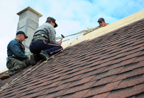 Quick and Trustworthy Emergency Roof Repair Services in West Peoria, IL