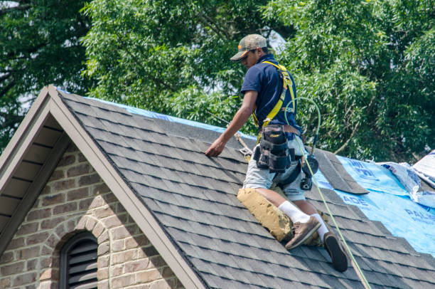 Professional Roofing Contractor in West Peoria, IL